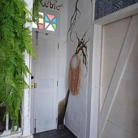 Cabo Rubio