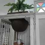 Cabo Rubio *